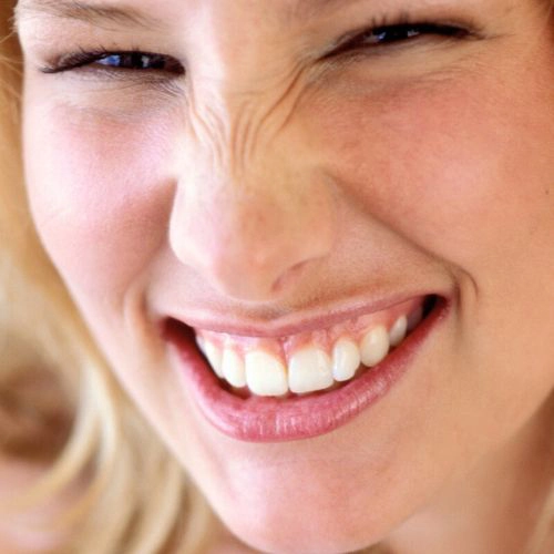 bunny lines coral gables miami