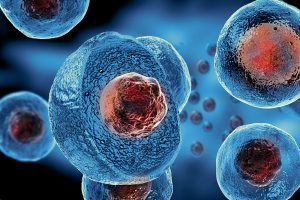 ADIPOSE TISSUE DERIVED STEM CELLS