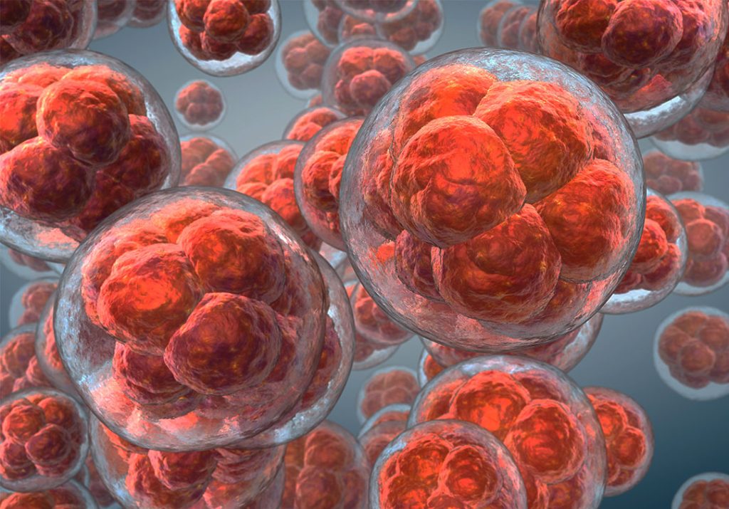 STEM CELLS rdymd med spa coral gables miami